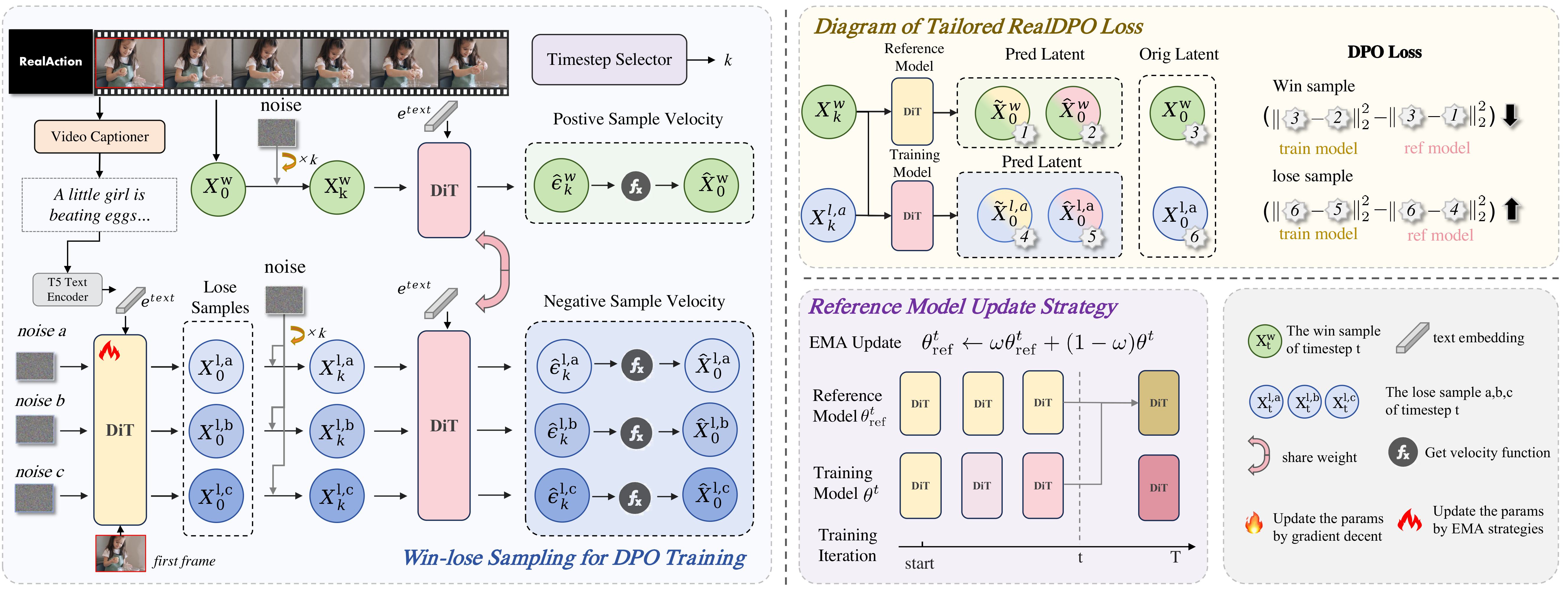 The RealDPO Framework